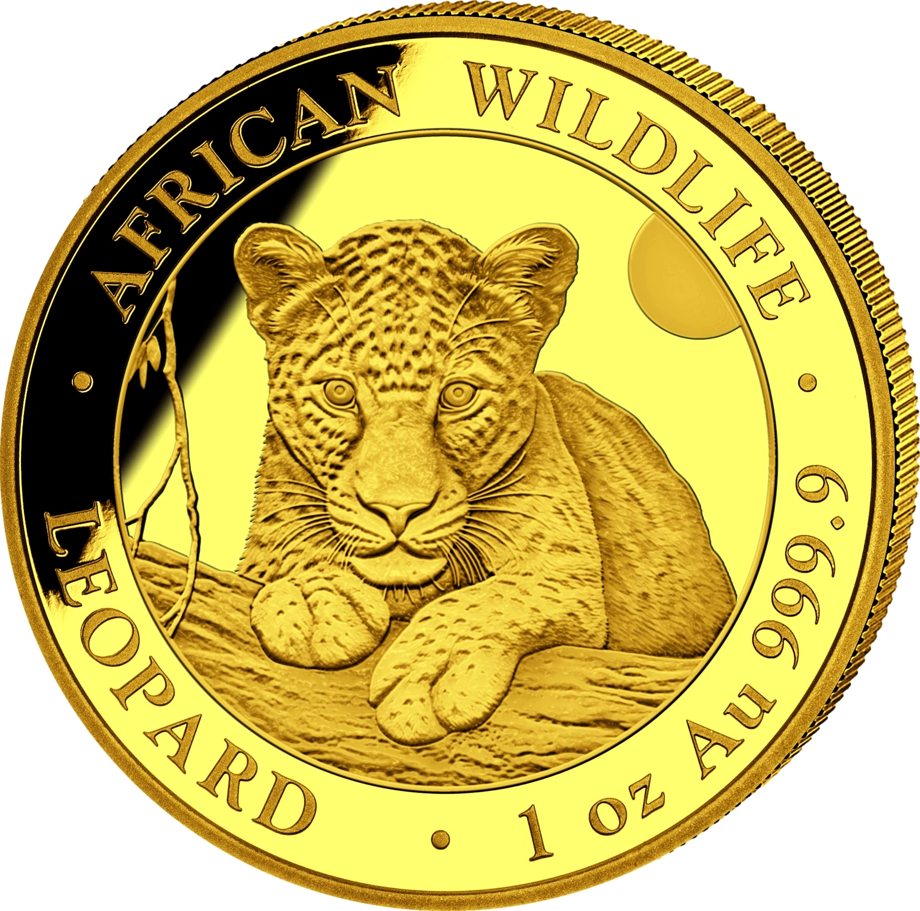 1 Unze Gold African Wildlife Somalia Leopard 2025 (Auflage: 1.000)