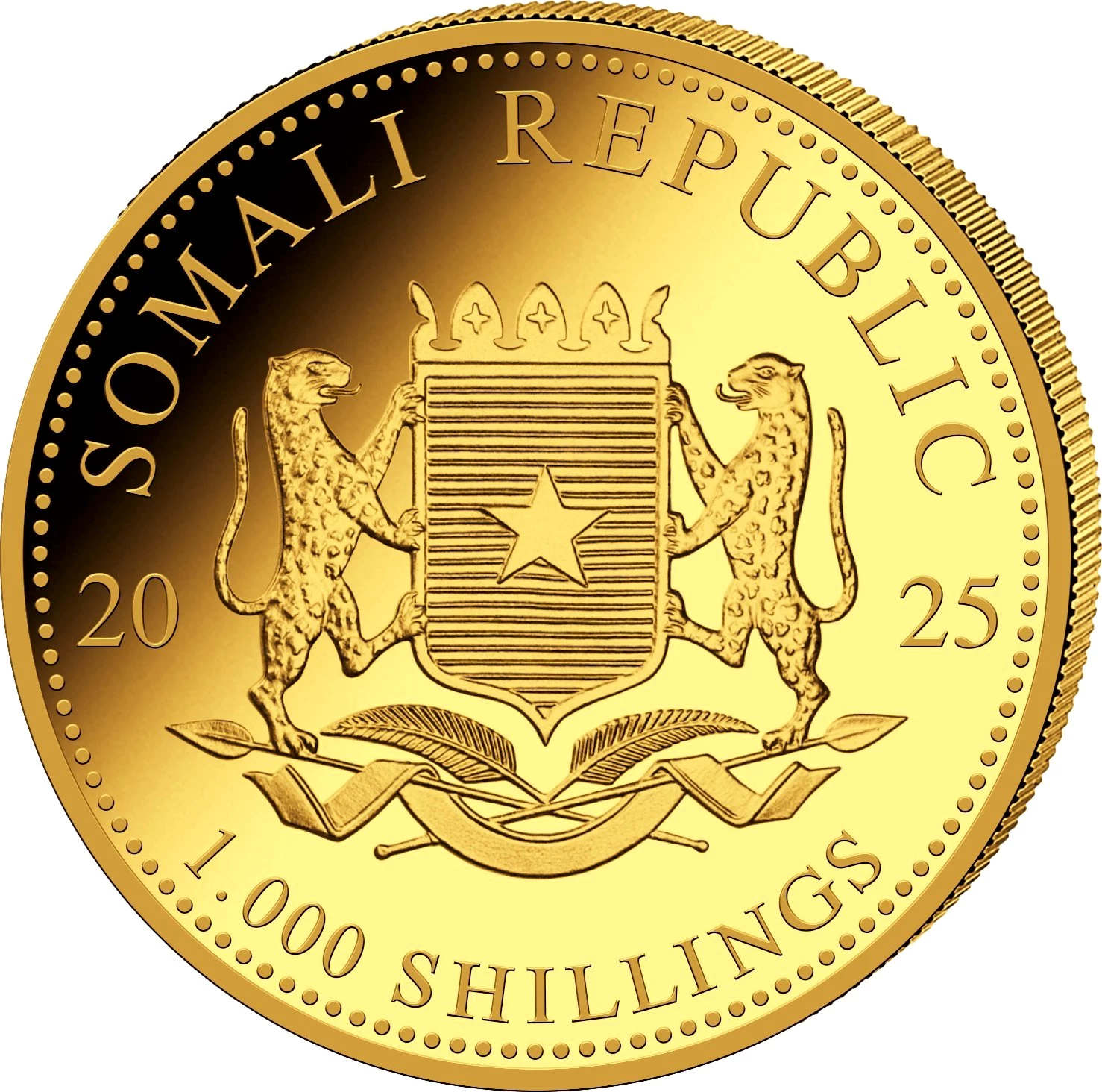 1 Unze Gold African Wildlife Somalia Leopard 2025 (Auflage: 1.000)