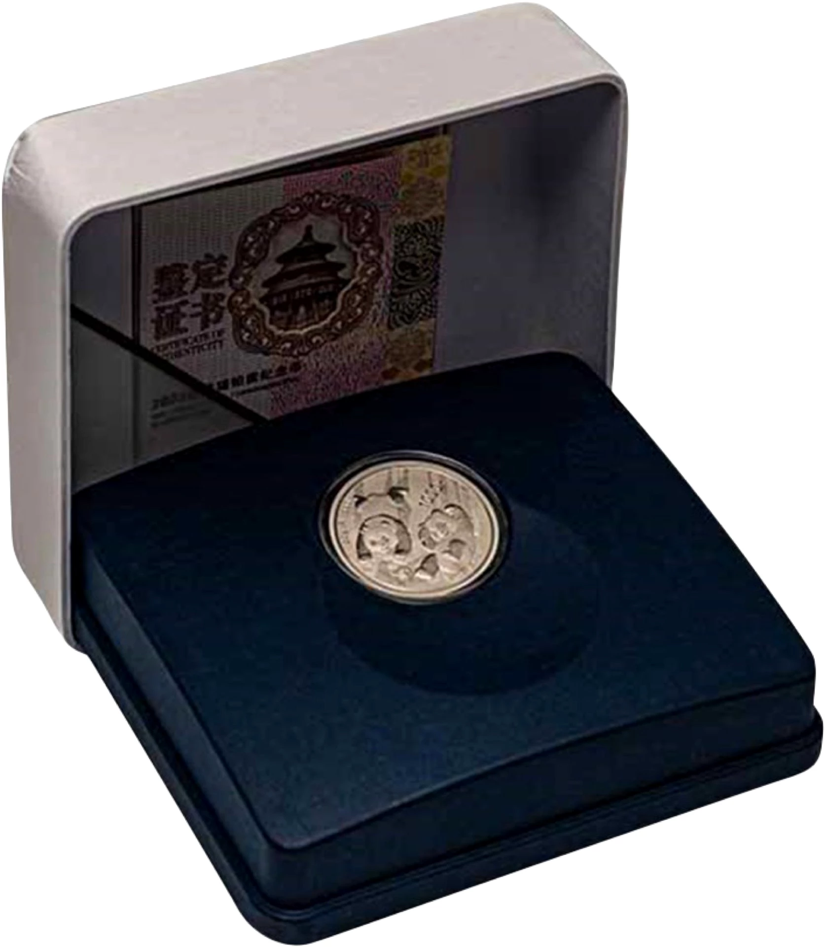 30 g Platin China Panda 2022 (Auflage:10.000)