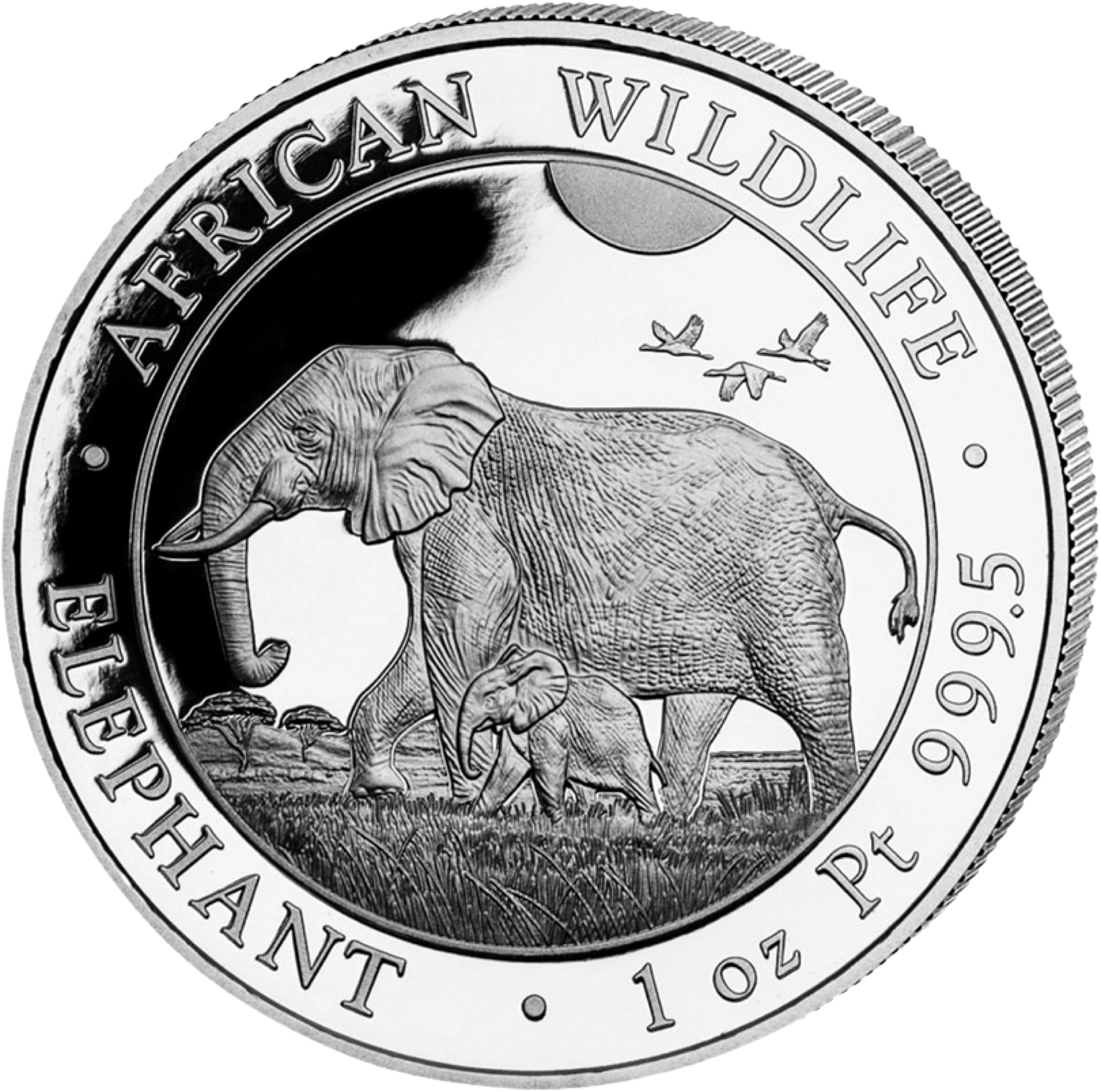 1 Unze Platin Somalia Elefant 2022 PP (Auflage: 30 | Polierte Platte)