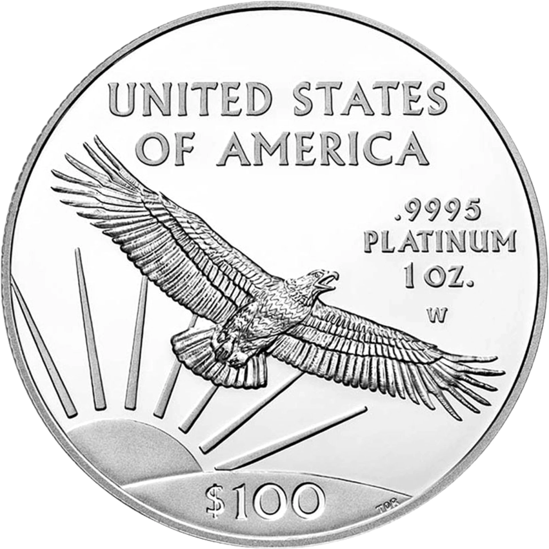 1 Unze Platin American Eagle PP 2017 (Auflage: 10.000)