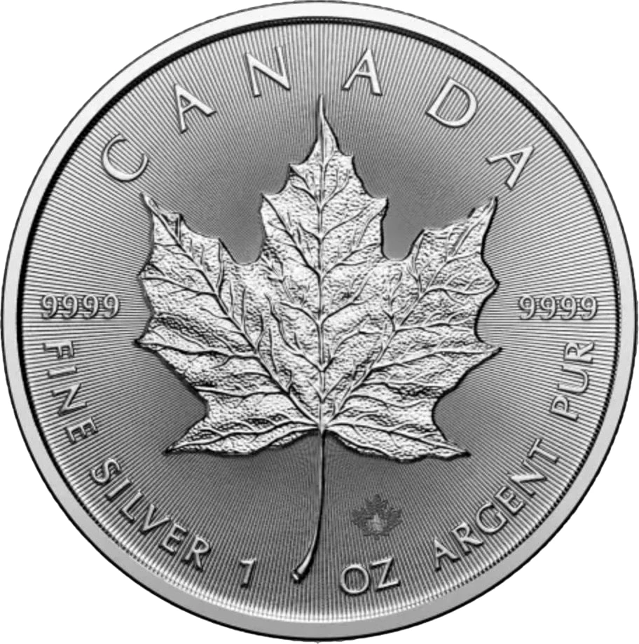 25 x 1 Unze Silber Maple Leaf 2025
