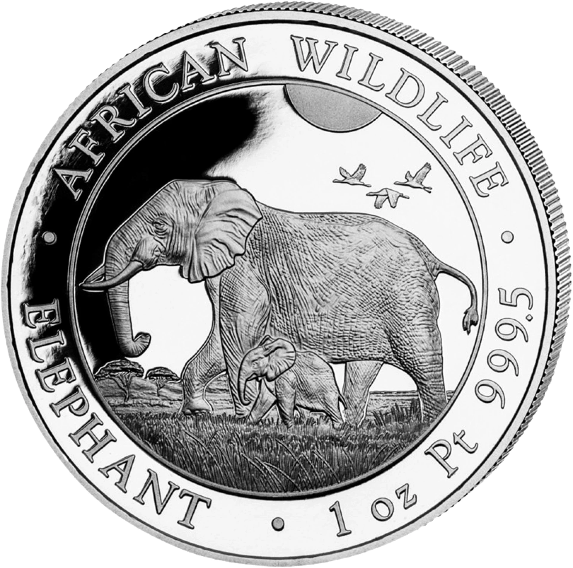1 Unze Platin Somalia Elefant 2022 PP (Auflage: 30 | Polierte Platte)