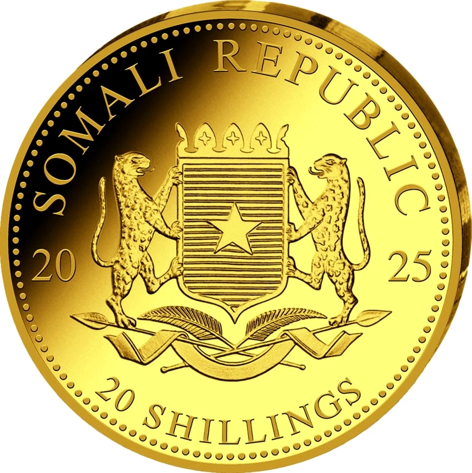 0,5g Gold African Wildlife Somalia Leopard 2025 (Auflage: 5.000)