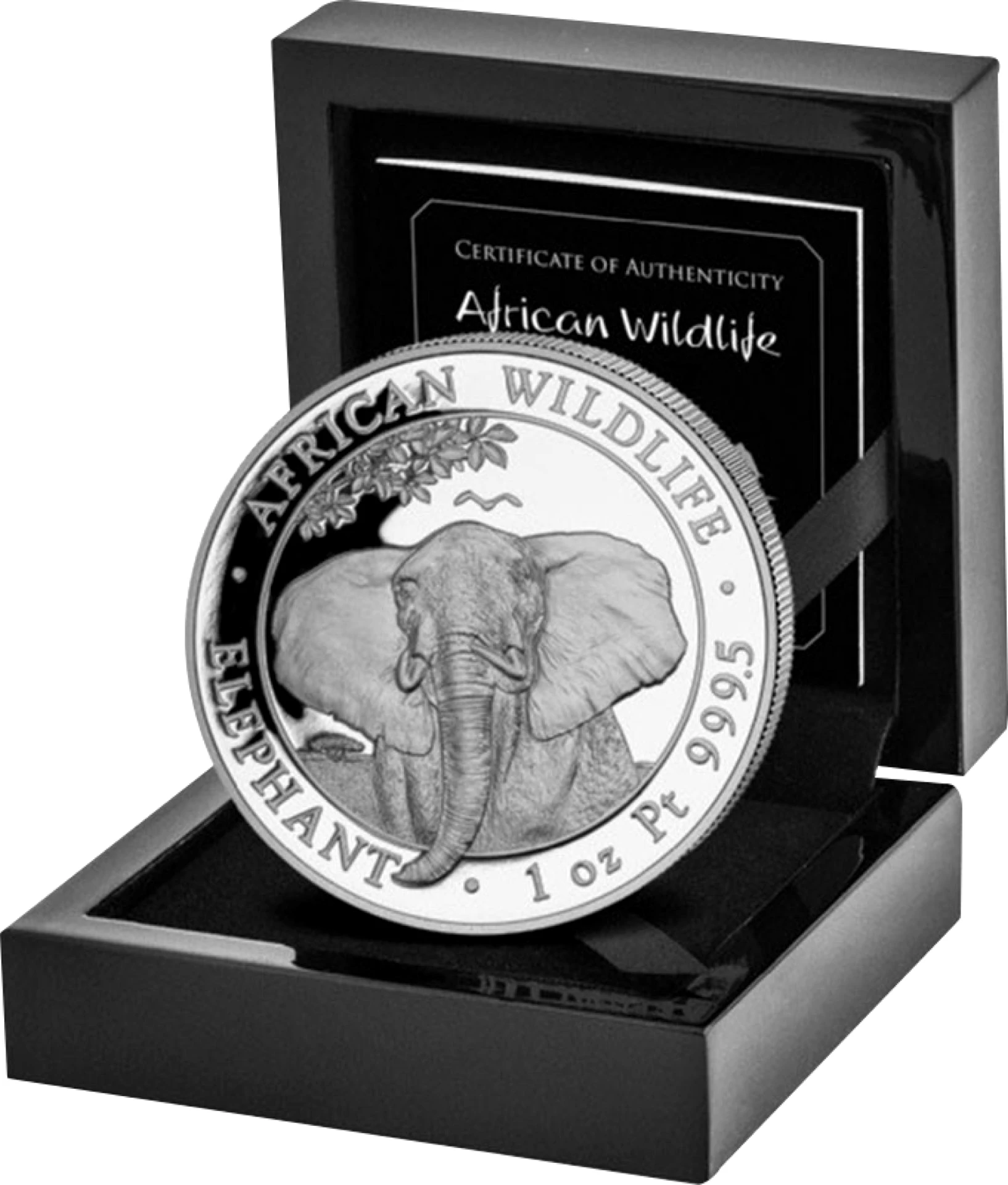 1 Unze Platin Somalia Elefant 2021 PP (Auflage: 30 | Polierte Platte)
