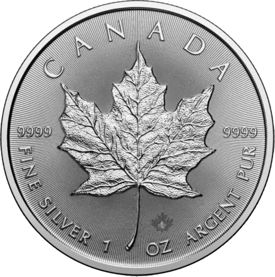 50 x 1 Unze Silber Maple Leaf 2025