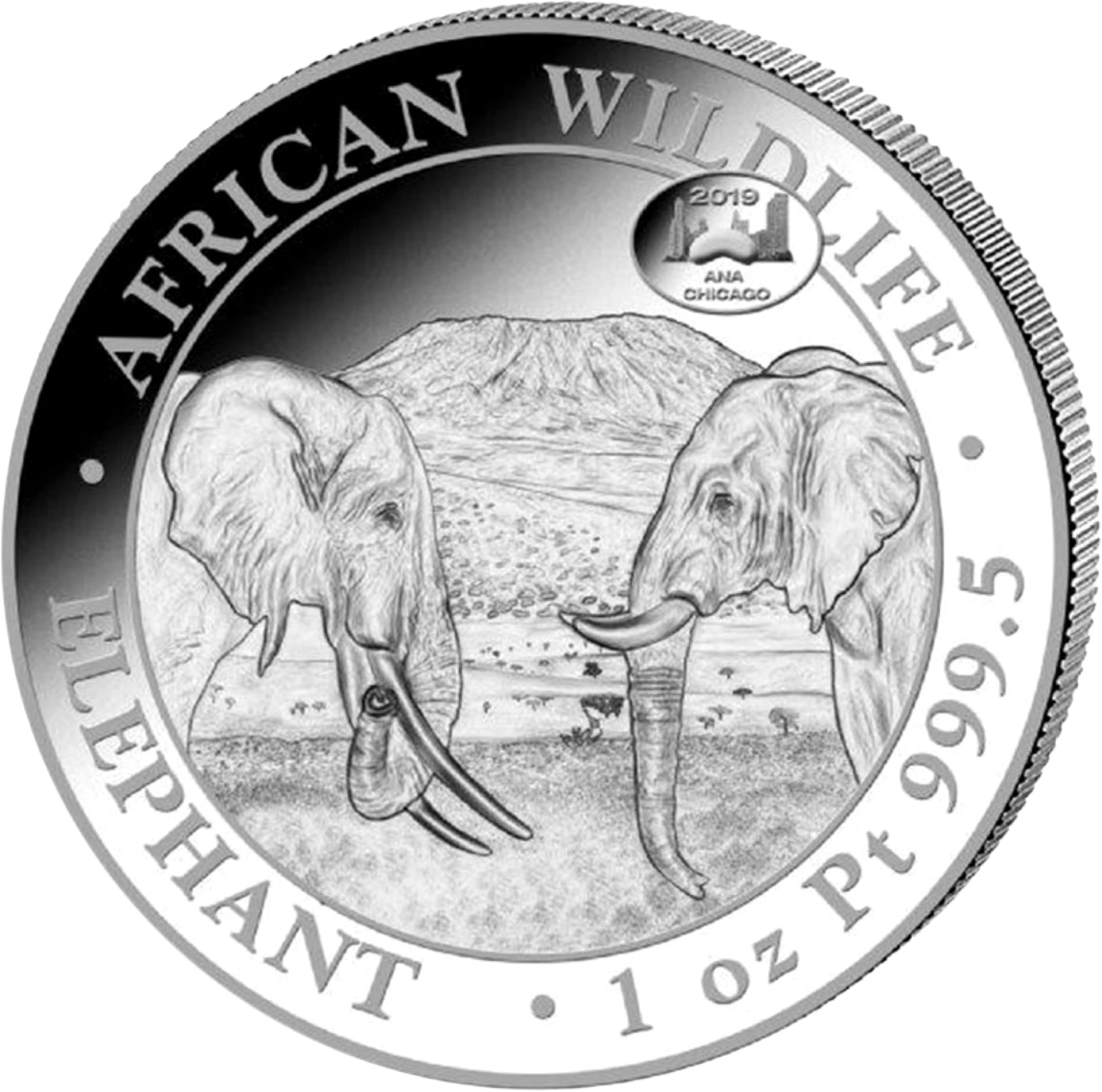1 Unze Platin Somalia Elefant 2020 Motiv (PM: ANA | Auflage: 25 | Jahrgang 2019)