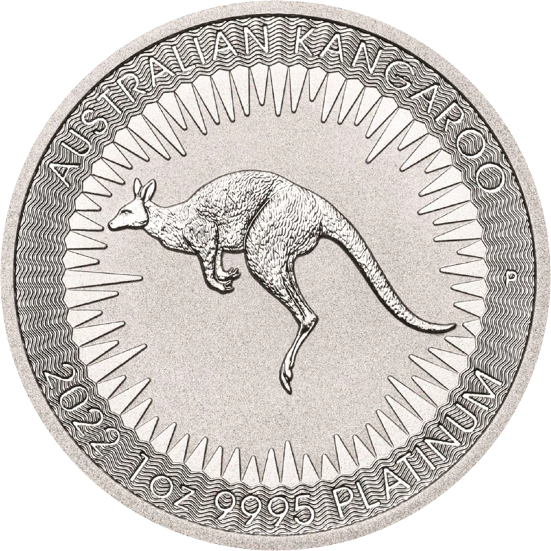 1 Unze Platin Känguru Nugget 2022