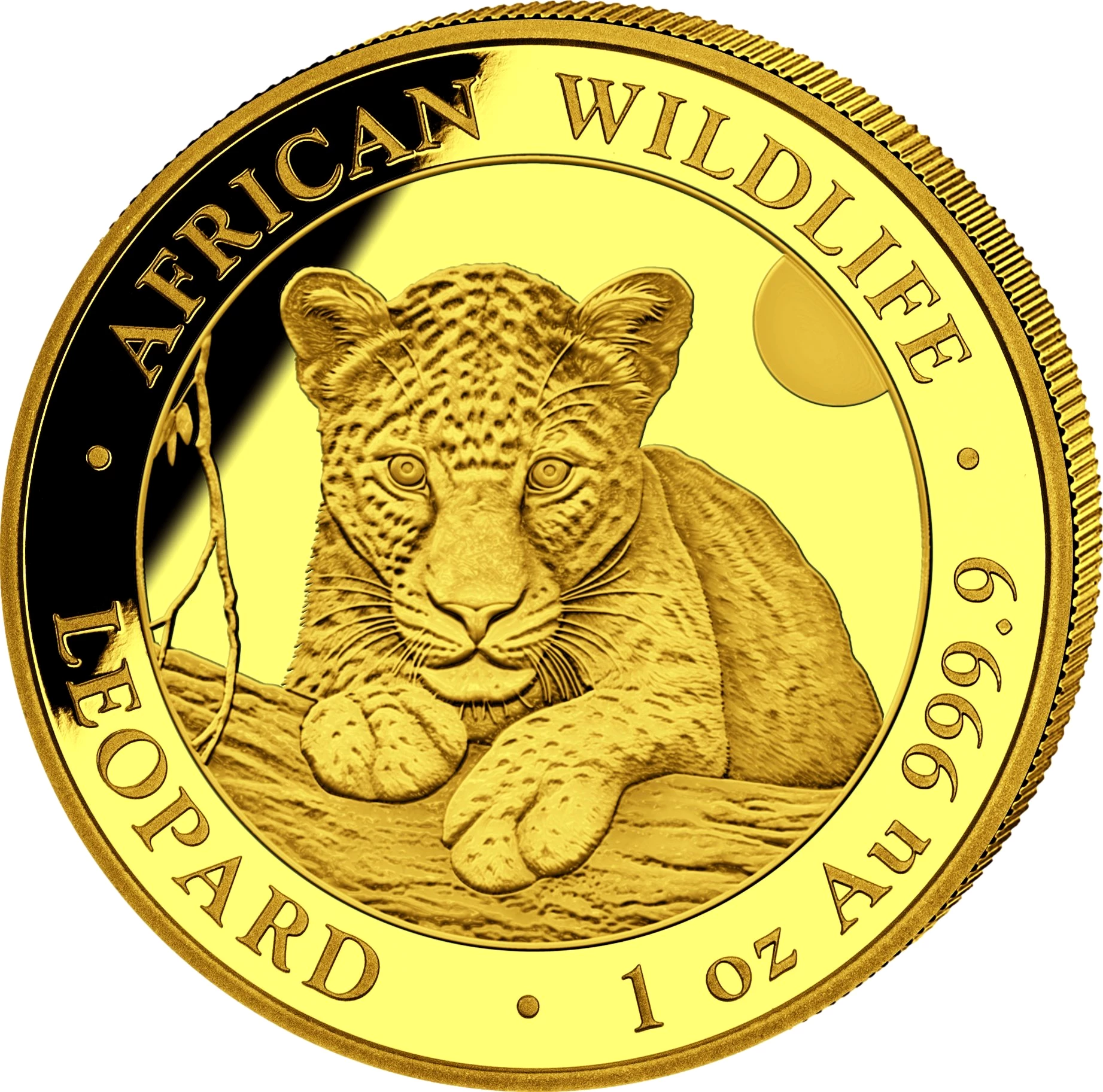 1 Unze Gold African Wildlife Somalia Leopard 2025 (Auflage: 1.000)